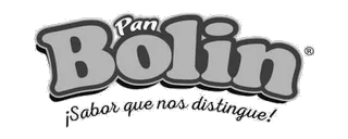 Bolín